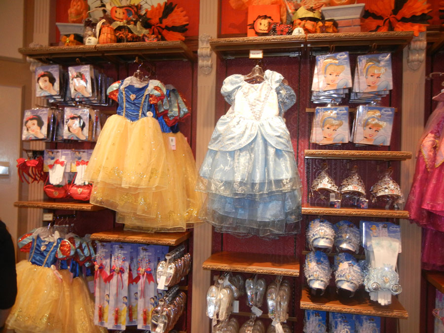 Disneyland Inside Shop Picture